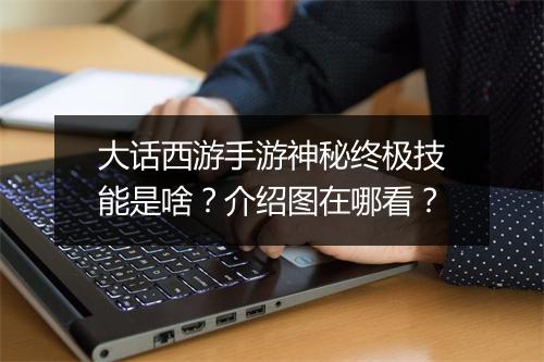 大话西游手游神秘终极技能是啥？介绍图在哪看？