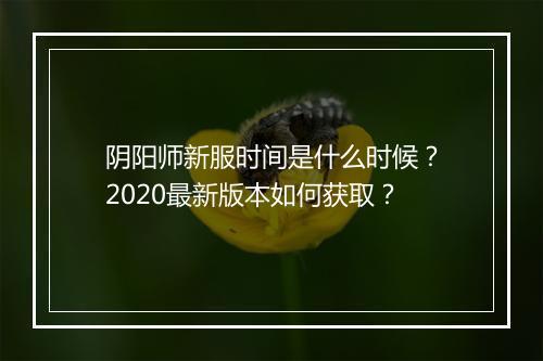 阴阳师新服时间是什么时候?2020最新版本如何获取?