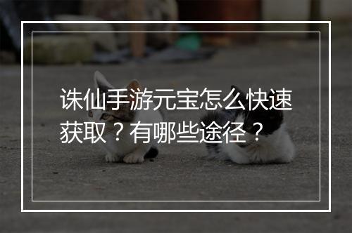 诛仙手游元宝怎么快速获取?有哪些途径?