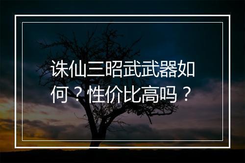 诛仙三昭武武器如何？性价比高吗？