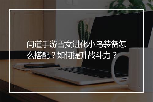 问道手游雪女进化小鸟装备怎么搭配？如何提升战斗力？