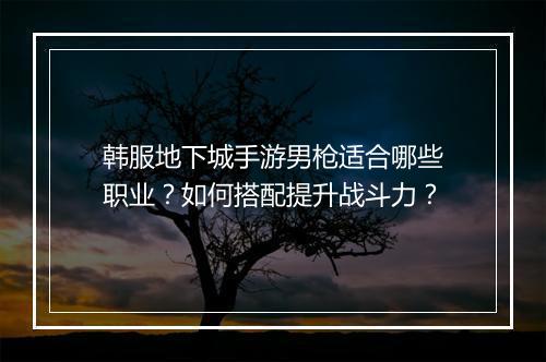 韩服地下城手游男枪适合哪些职业？如何搭配提升战斗力？