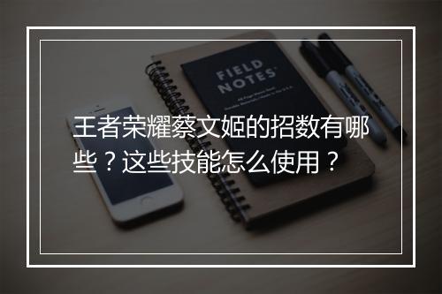 王者荣耀蔡文姬的招数有哪些？这些技能怎么使用？