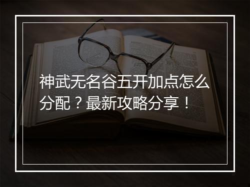神武无名谷五开加点怎么分配？最新攻略分享！