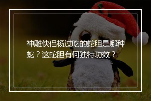 神雕侠侣杨过吃的蛇胆是哪种蛇?这蛇胆有何独特功效?