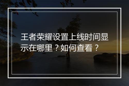 王者荣耀设置上线时间显示在哪里?如何查看?
