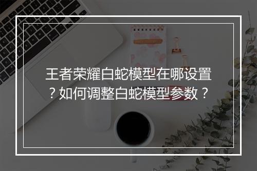 王者荣耀白蛇模型在哪设置?如何调整白蛇模型参数?