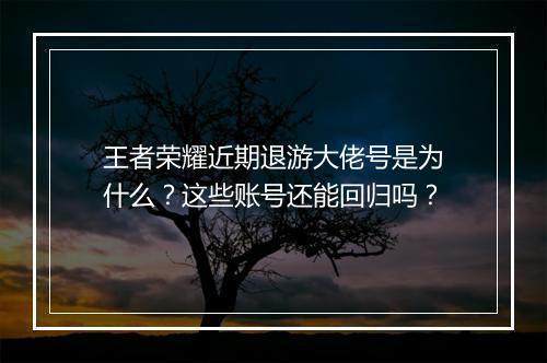 王者荣耀近期退游大佬号是为什么?这些账号还能回归吗?