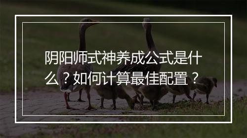 阴阳师式神养成公式是什么?如何计算最佳配置?