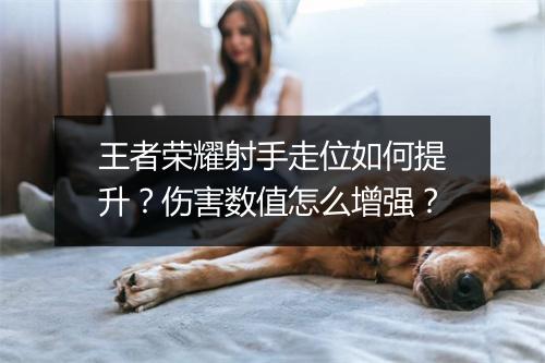 王者荣耀射手走位如何提升?伤害数值怎么增强?