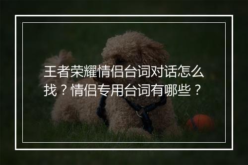 王者荣耀情侣台词对话怎么找?情侣专用台词有哪些?