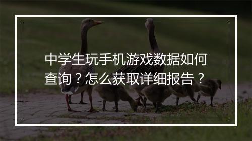 中学生玩手机游戏数据如何查询?怎么获取详细报告?