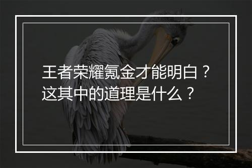 王者荣耀氪金才能明白?这其中的道理是什么?