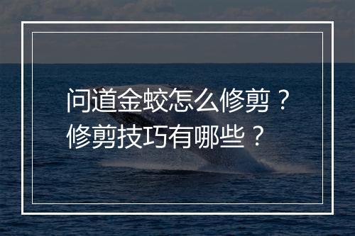 问道金蛟怎么修剪?修剪技巧有哪些?