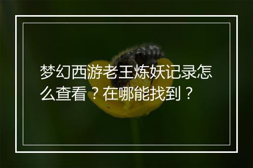 梦幻西游老王炼妖记录怎么查看?在哪能找到?