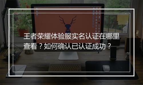 王者荣耀体验服实名认证在哪里查看?如何确认已认证成功?