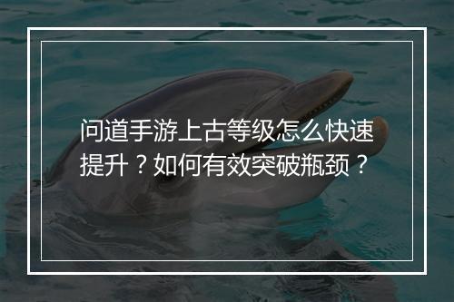 问道手游上古等级怎么快速提升?如何有效突破瓶颈?