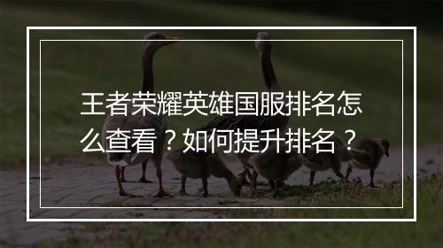 王者荣耀英雄国服排名怎么查看?如何提升排名?