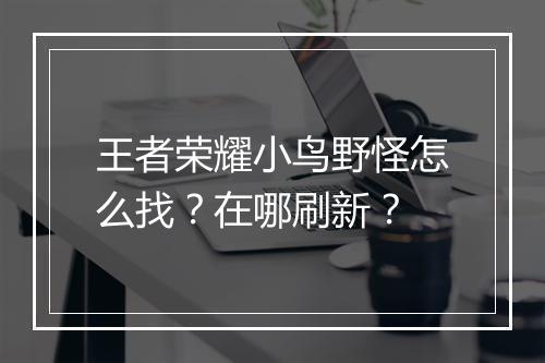 王者荣耀小鸟野怪怎么找?在哪刷新?