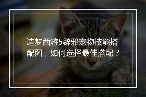 造梦西游5辟邪宠物技能搭配图，如何选择最佳搭配？
