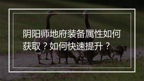 阴阳师地府装备属性如何获取?如何快速提升?