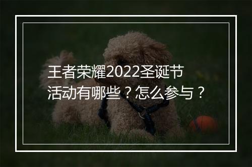 王者荣耀2022圣诞节活动有哪些?怎么参与?