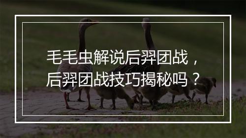 毛毛虫解说后羿团战，后羿团战技巧揭秘吗？