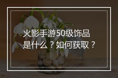 火影手游50级饰品是什么?如何获取?