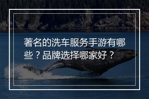 著名的洗车服务手游有哪些?品牌选择哪家好?