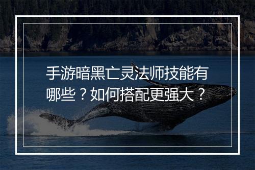 手游暗黑亡灵法师技能有哪些?如何搭配更强大?