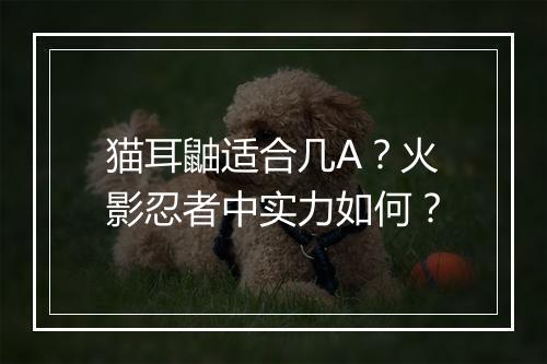 猫耳鼬适合几A?火影忍者中实力如何?