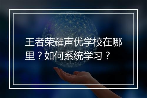 王者荣耀声优学校在哪里？如何系统学习？