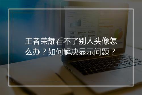 王者荣耀看不了别人头像怎么办?如何解决显示问题?