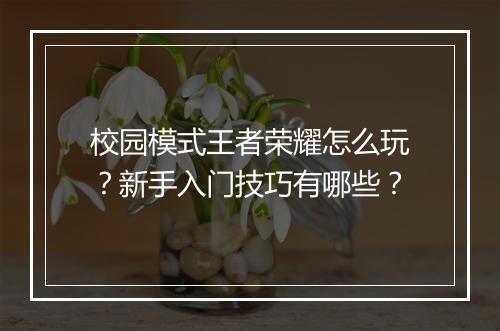 校园模式王者荣耀怎么玩?新手入门技巧有哪些?