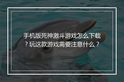 手机版死神激斗游戏怎么下载?玩这款游戏需要注意什么?