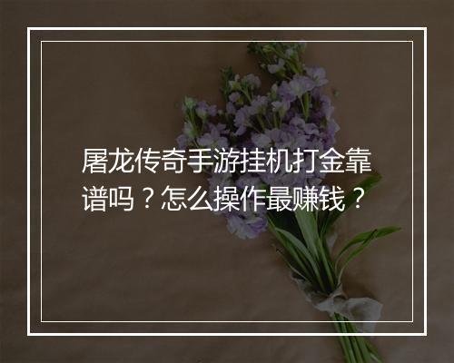 屠龙传奇手游挂机打金靠谱吗?怎么操作最赚钱?