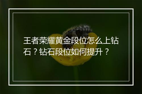 王者荣耀黄金段位怎么上钻石？钻石段位如何提升？
