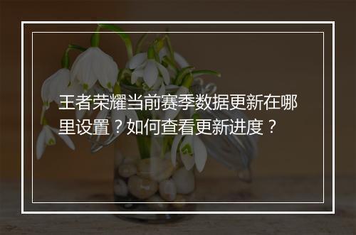 王者荣耀当前赛季数据更新在哪里设置？如何查看更新进度？