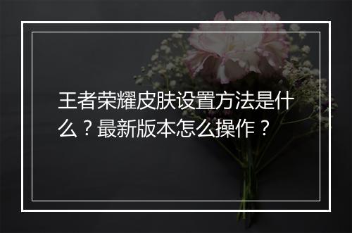 王者荣耀皮肤设置方法是什么?最新版本怎么操作?