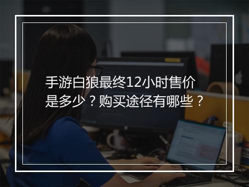 手游白狼最终12小时售价是多少?购买途径有哪些?