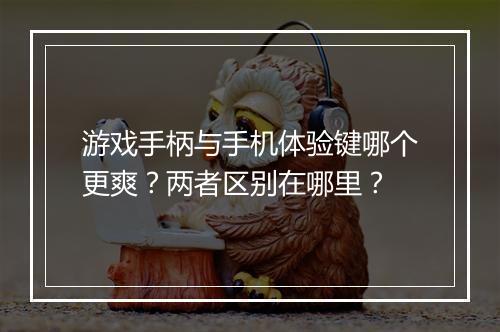 游戏手柄与手机体验键哪个更爽?两者区别在哪里?
