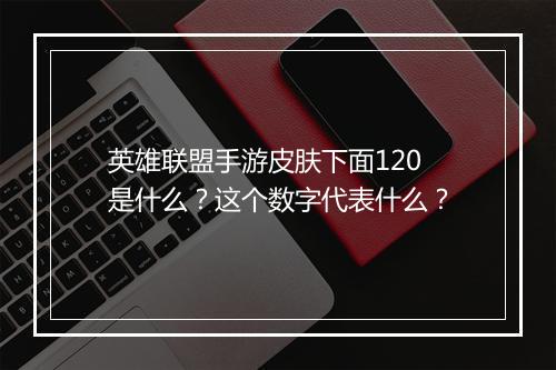 英雄联盟手游皮肤下面120是什么？这个数字代表什么？