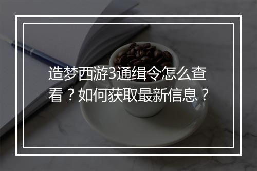 造梦西游3通缉令怎么查看?如何获取最新信息?