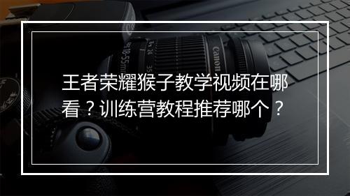 王者荣耀猴子教学视频在哪看?训练营教程推荐哪个?