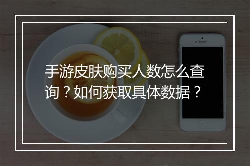手游皮肤购买人数怎么查询?如何获取具体数据?