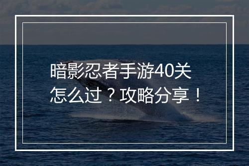 暗影忍者手游40关怎么过?攻略分享!