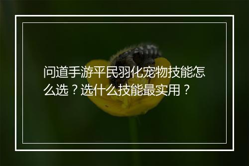 问道手游平民羽化宠物技能怎么选？选什么技能最实用？
