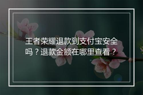 王者荣耀退款到支付宝安全吗?退款金额在哪里查看?