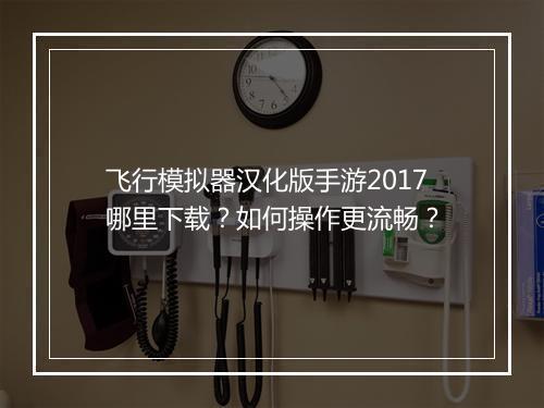 飞行模拟器汉化版手游2017哪里下载?如何操作更流畅?