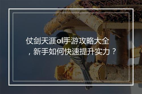 仗剑天涯ol手游攻略大全,新手如何快速提升实力?